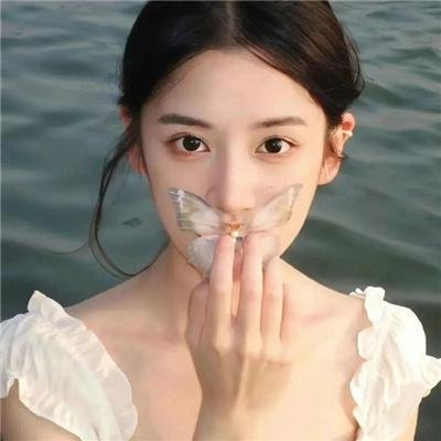 沉默的证人