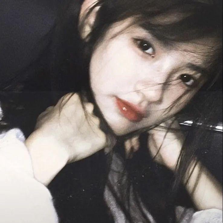 一条叫王子的狗